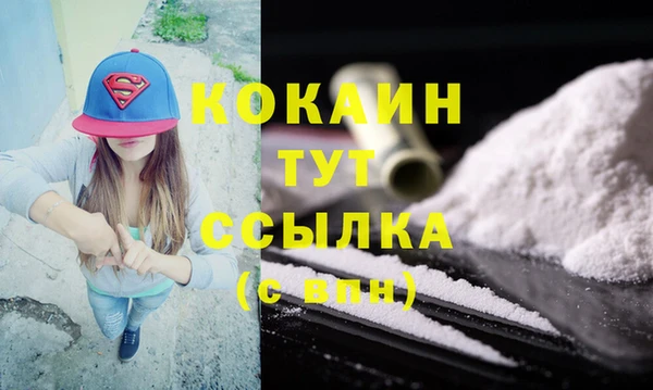 сатива Аркадак