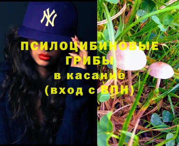соль курить ск Армянск