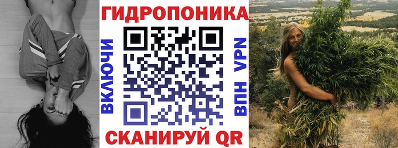 сайты даркнета телеграм Снежинск Каннабис семена